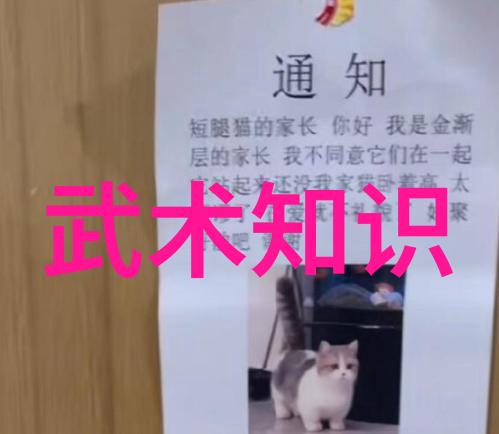 武林百家各路高手的技艺纷呈