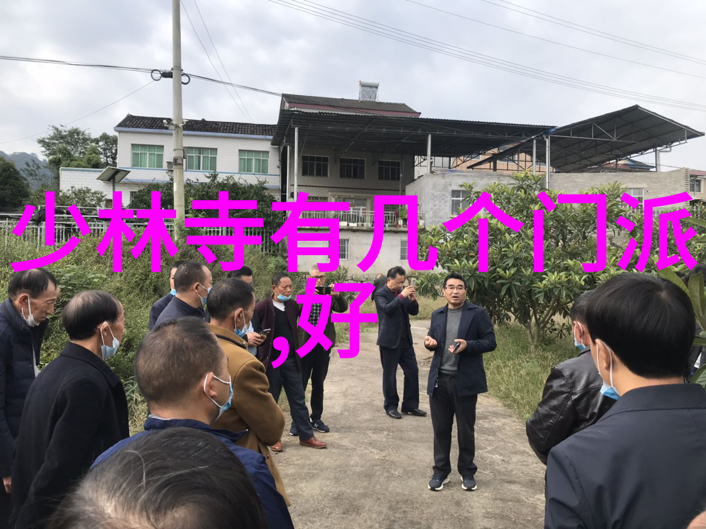 太极拳口令与四十式视频教程的完美结合