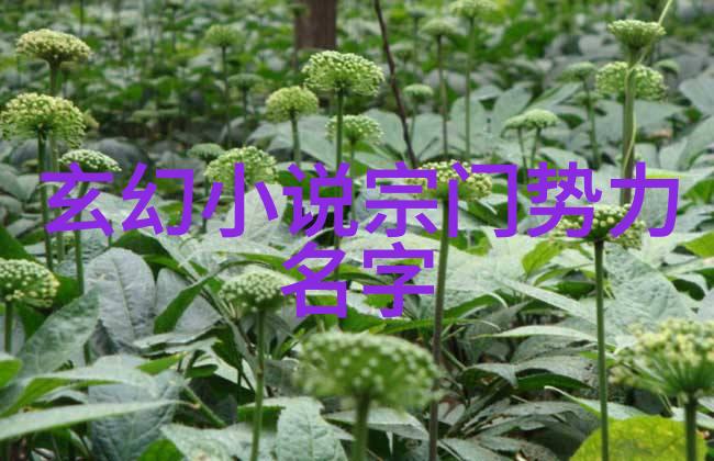 好听的公会名字大全咱们一起来挑选一下吧