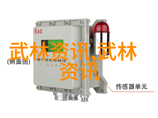 中国古代的武术之光拳法的艺术与实战