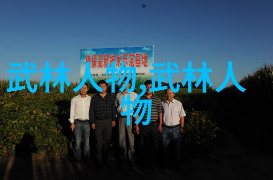 神秘世界-揭秘顶级宗门幻影纹章与星际之光