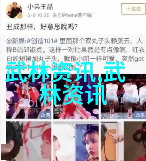 掌握古典招式武功秘籍大全的实战应用