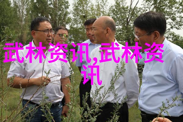 武技秘录拳法神韵