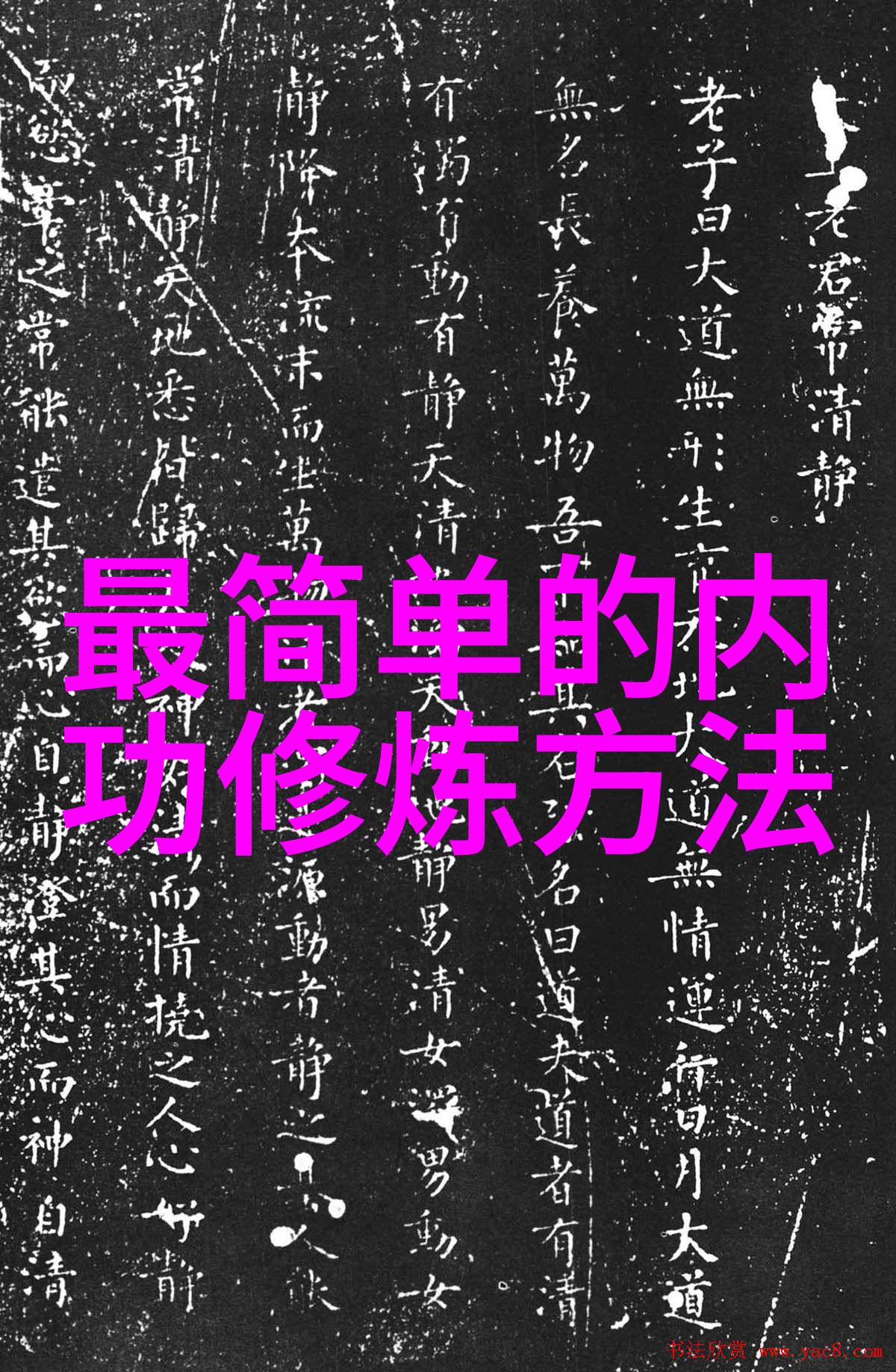 啊接到一个30厘米长的客人-小型但不凡的来访者