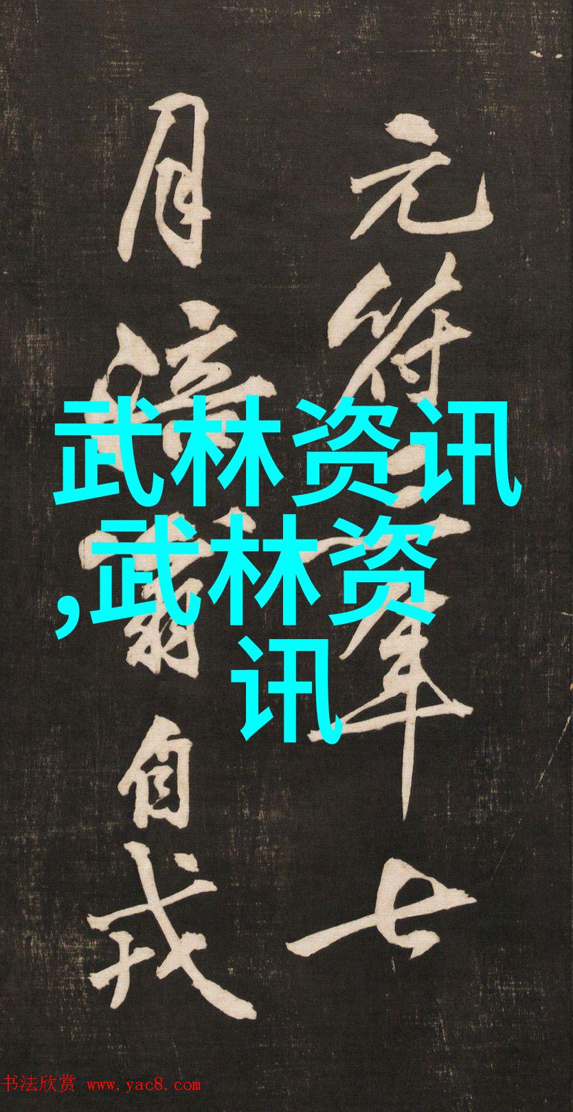 重温经典激发潜力新手如何学好拳法十六招式图解