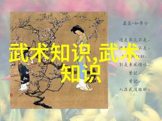 古武入门修炼法太极拳推手中的出手如锉回手如钩技巧探究于子顺指引你如何轻松掌握这门内功心法