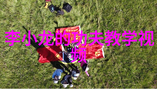 武功秘籍大全童金旺的舍己从人太极拳法之旅