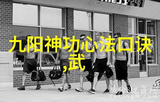 探究古代武功之巅历代武学高峰与其内涵分析