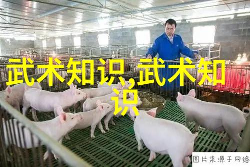 母亲的爱一段温暖的8分钟旅程