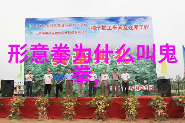 太极拳中活到老学到老的智慧