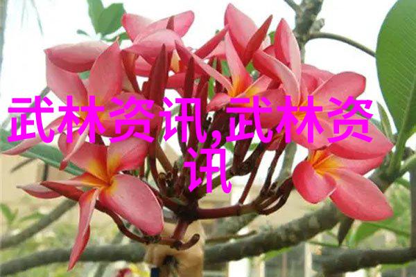 帮派名字大全咱们来看看那些火的帮派名