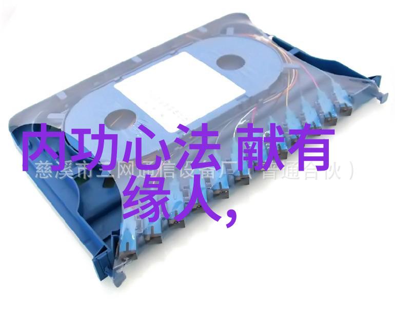 李小龙功夫闪现揭秘武术规矩