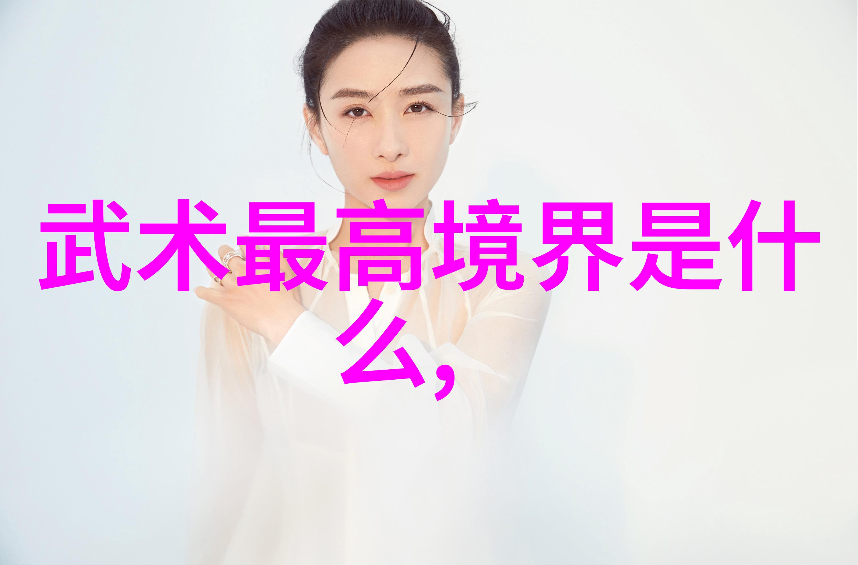 梅花拳六大门派收入之花