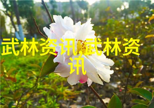 远方的呼唤基普乔格的迷雾之旅