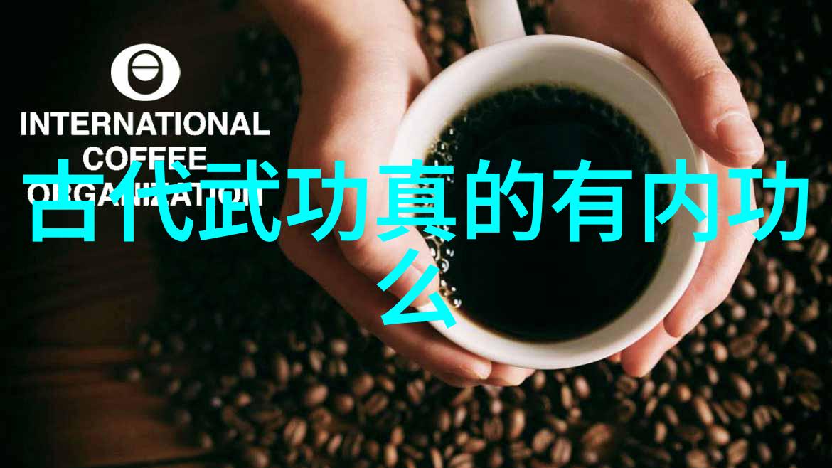 中国武功秘籍的大全书-中华拳艺宝典揭秘千年武学神器