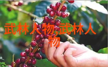 太极拳24式自学图解研究探索内外兼修的武术艺术