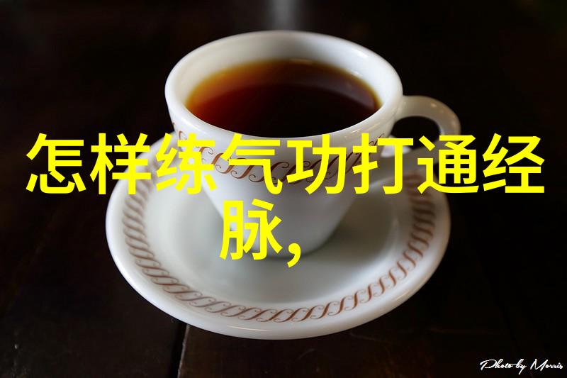 绝学独尊揭秘中国最有实战性的功夫