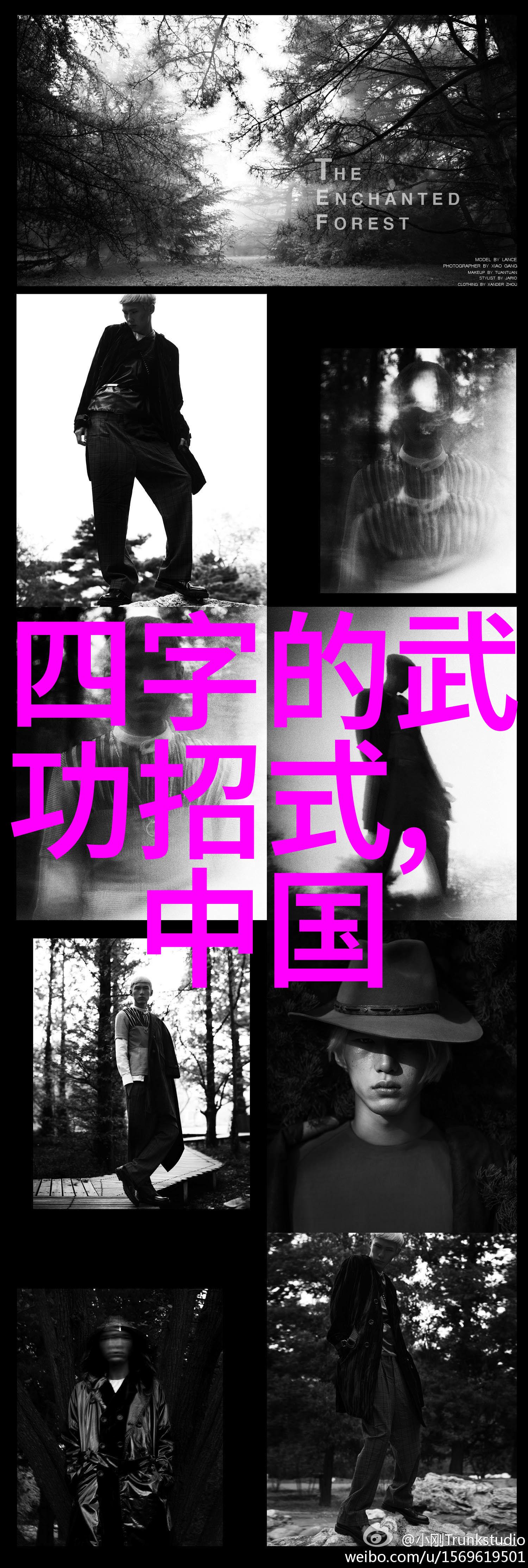 武林秘笈揭秘我想学功夫的起点与挑战