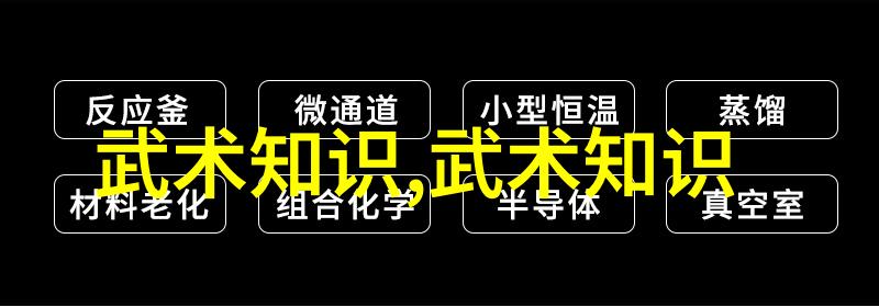 武林绝技功夫大全招式拳法内含独门秘籍与实战指导