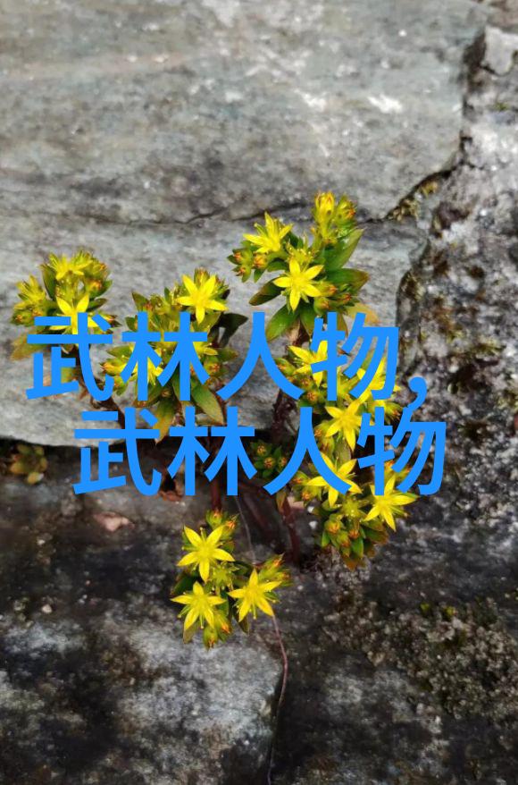百合花观赏技巧如何选择最佳坐姿与保持适当距离欣赏百合花