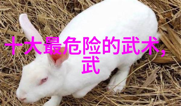 世界上最狠的拳法 - 铁掌灭世揭秘古老武术中的致命一击