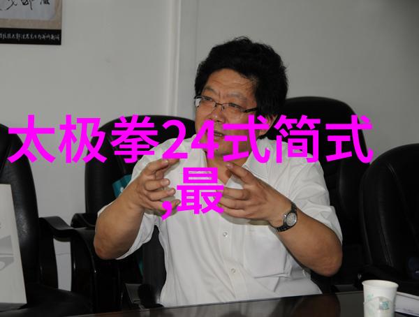 武林门派有掌门吗赵堡太极拳太极门的守护者
