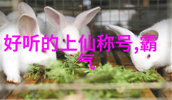 武功秘籍网内涵武林绝学