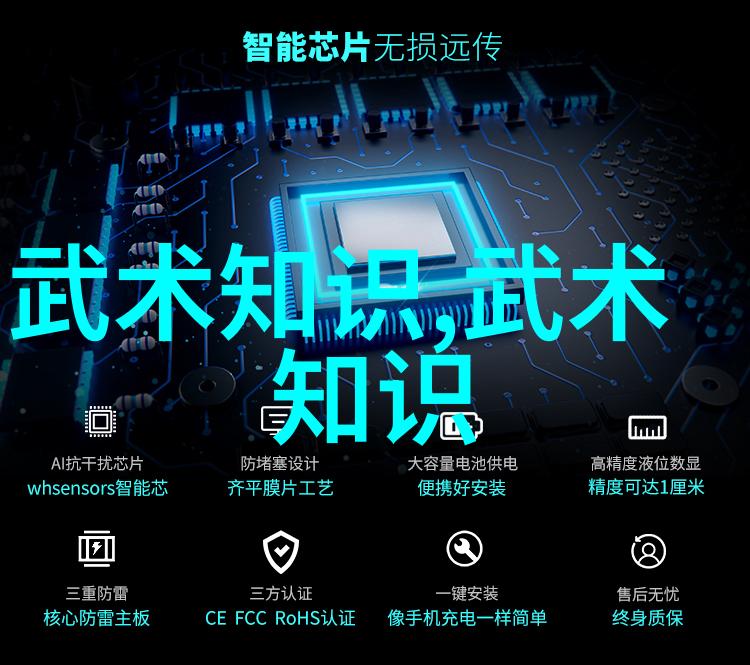 武林至尊揭秘世界上最强武功的奥秘古老咒语内力大法