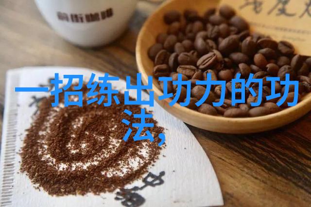 太极拳24式每一式都是一幅动人的图画张晓星的练习像是在展示一部精彩绝伦的艺术电影