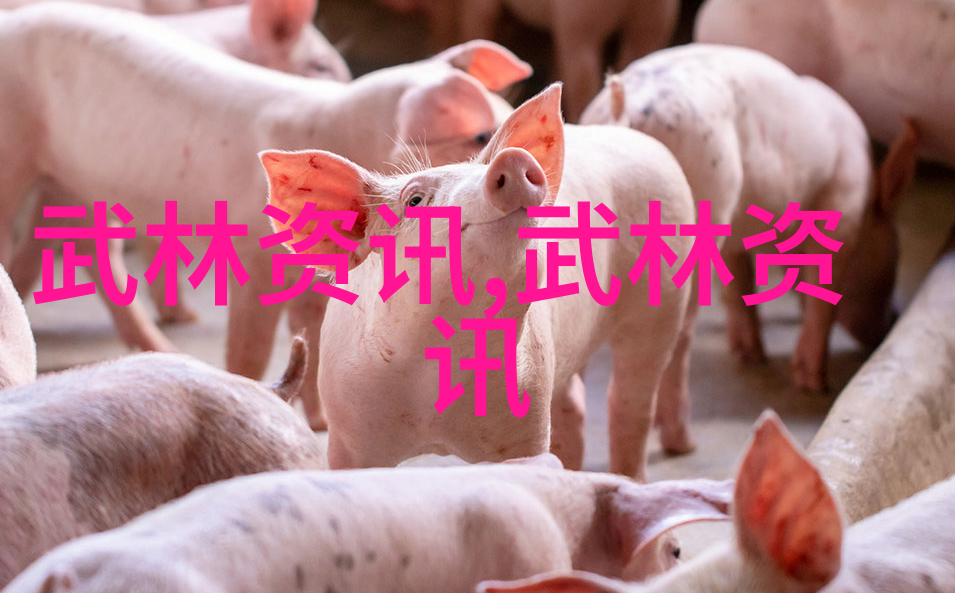 功夫少林达摩十二势易筋经