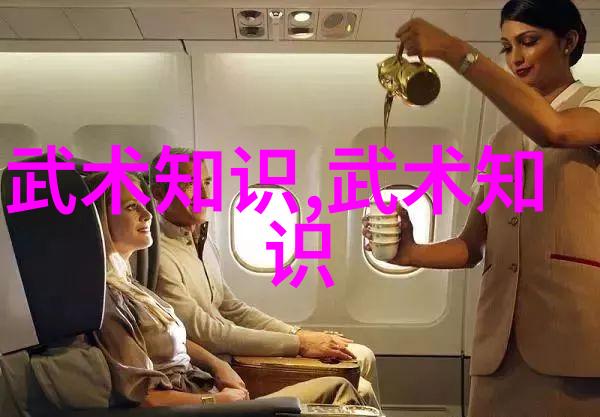 中国武术有多少种拳法探索千年武林的秘密之门