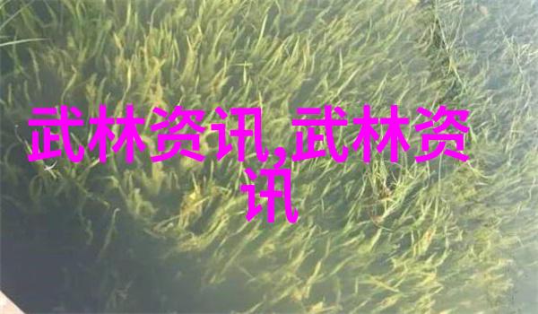 武林门派之巅峰对决武林最强门派的争霸