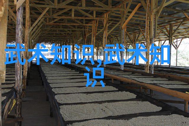 天籁之音揭秘古风仙盟的唯美名字
