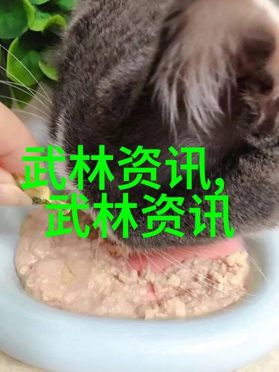 武术万维网官网探索传统武学与现代技术的交汇点