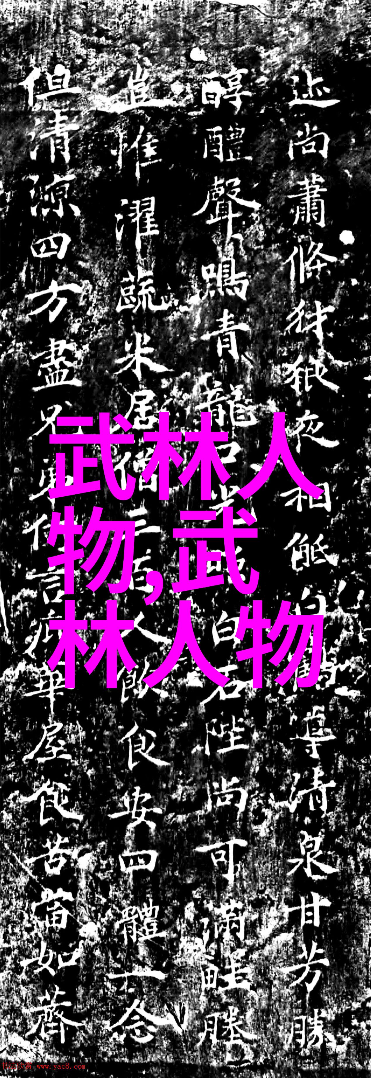 武术基石揭秘12个基本动作的奥义与实践