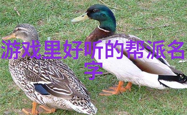仙门门派名字大全中国古典武侠世界中的各种传统仙门和门派名称