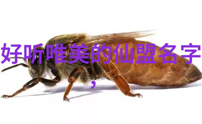 古风神韵南派太极拳流光舞影内力涌动