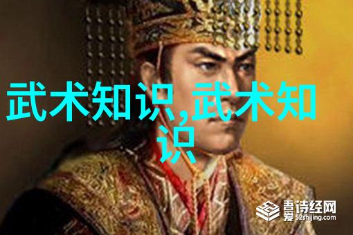 拳法类武功大全掌握打击艺术的全方位指南