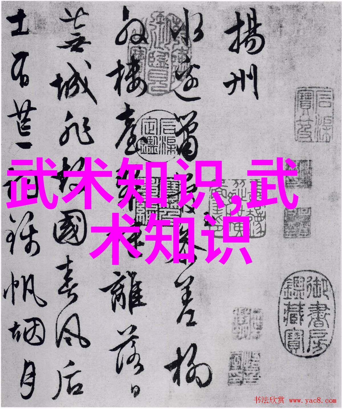 身法秘籍揭秘修炼之道的真谛