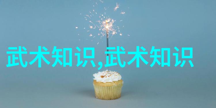 王文贤讲解拳法十六招式图解太极拳套路核心要素的反复探究