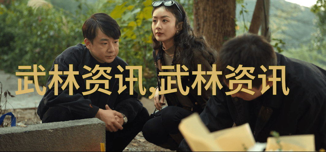 南拳和华拳哪个厉害门派拳种宗岳太极拳揭秘武林绝技