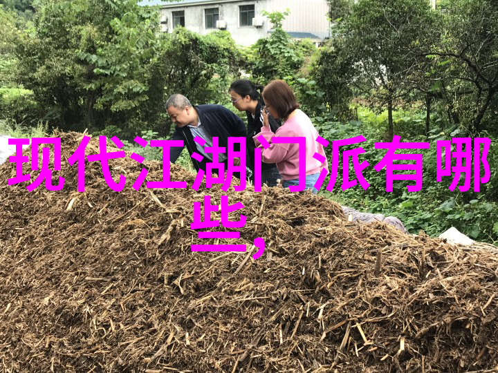 武林高手的谱系中国武术史上最激烈的对决
