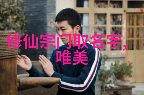 太极拳24式自学图解揭秘古老武功的内在奥义
