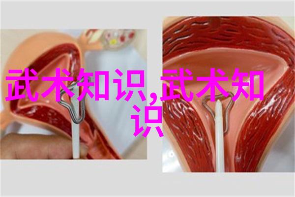 武术门派探秘-全国武术门派之旅揭秘千年传承的艺术与技巧