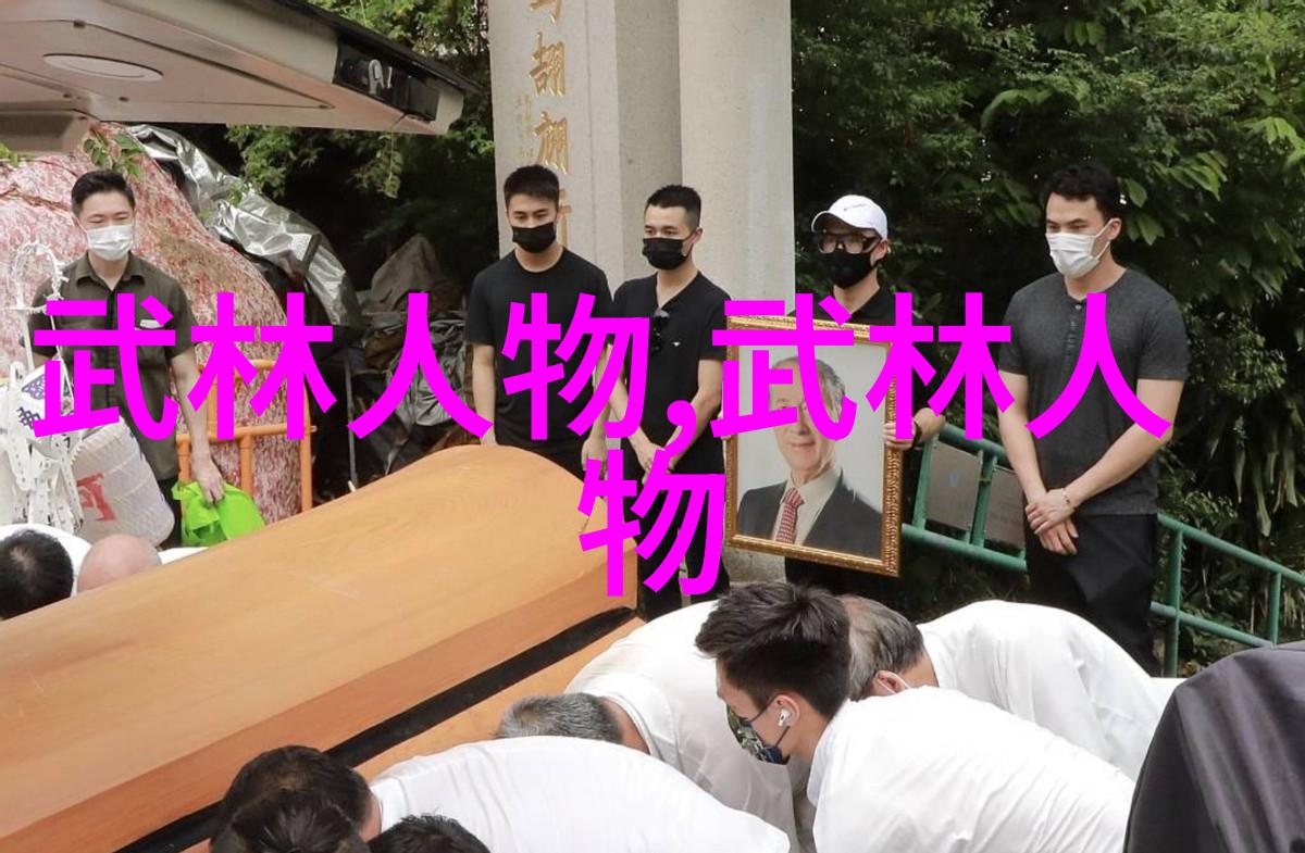 武功秘籍大全中的太极拳仿佛一位古老智者用其悠长的节奏与深邃的哲理细数着人生的每一个瞬间