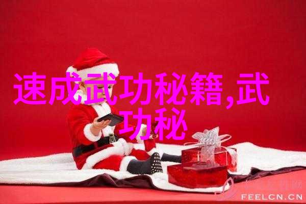 太极功夫秘籍-悟道者之手揭秘内丹修炼与太极拳技法