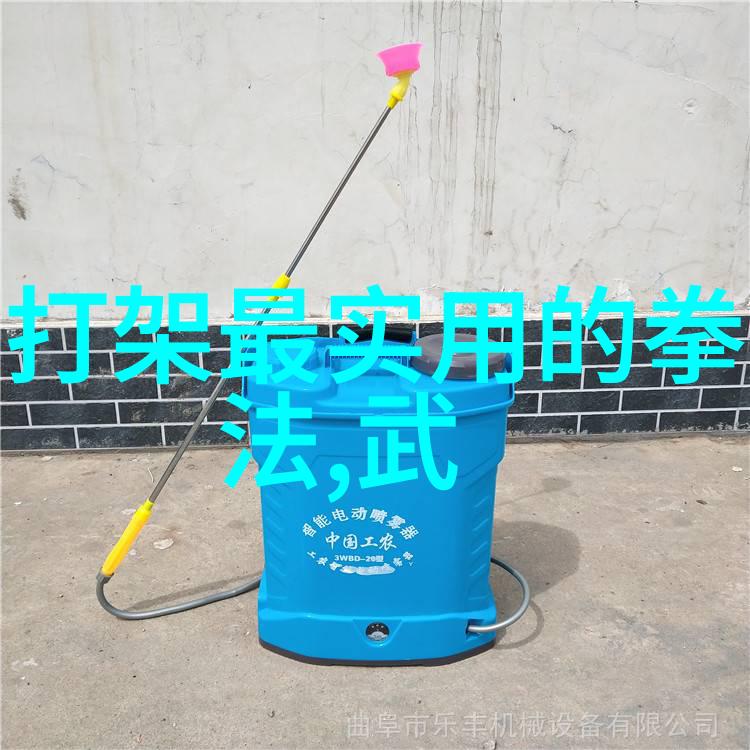 太极与生活-简易24式太极拳龚勤悦