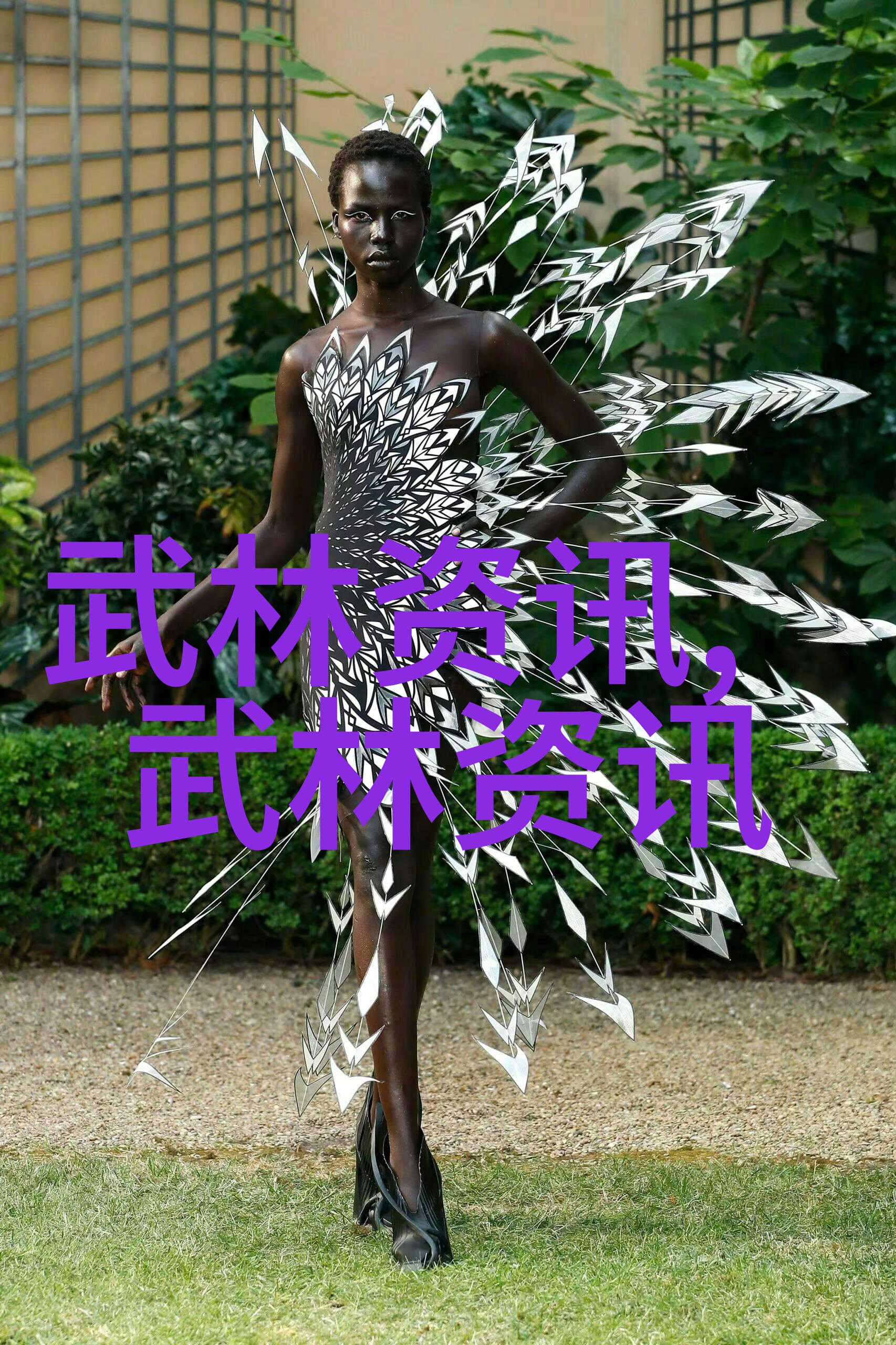 天启宗的秘密传承