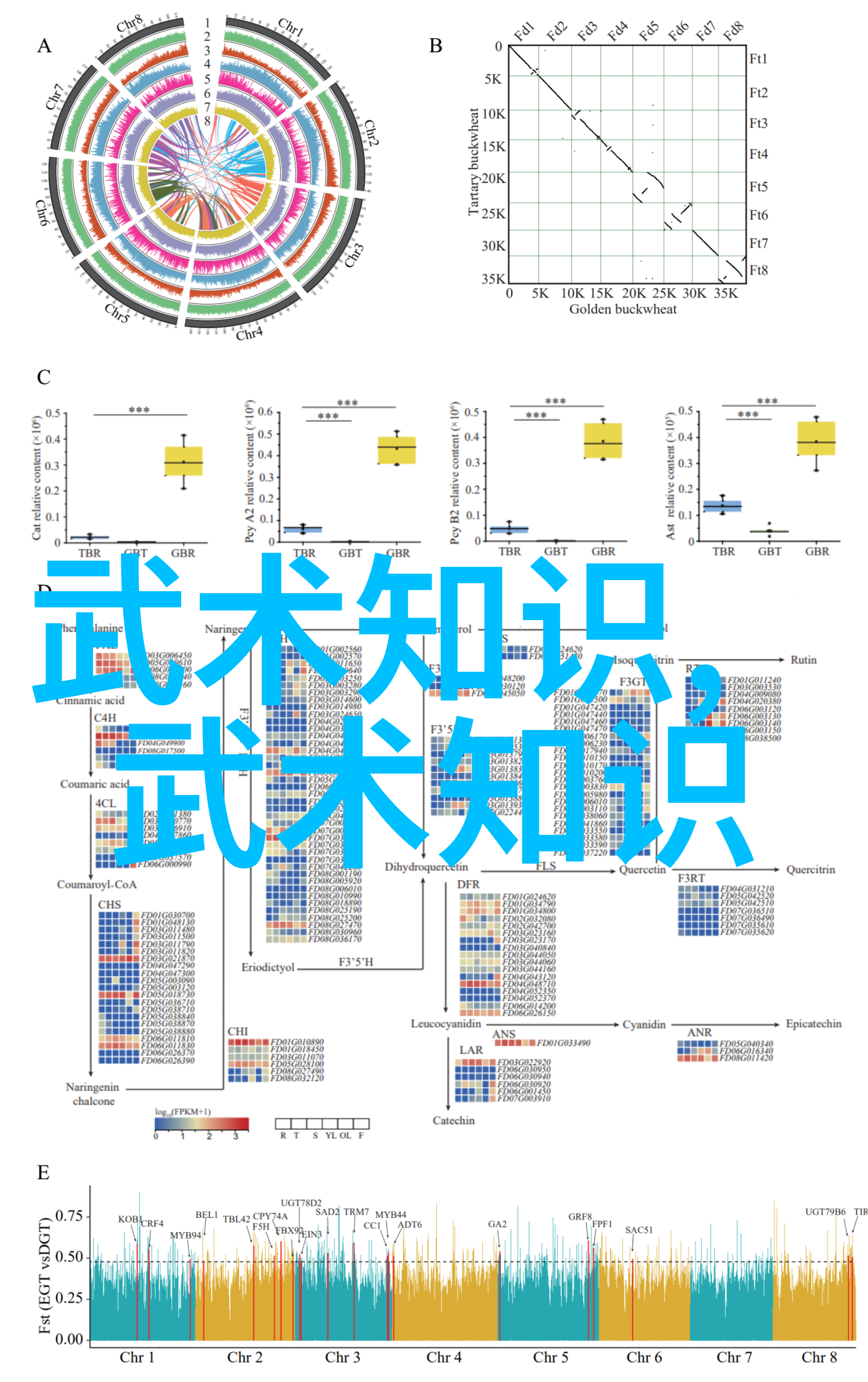 刀影幽深武林秘派的铸就
