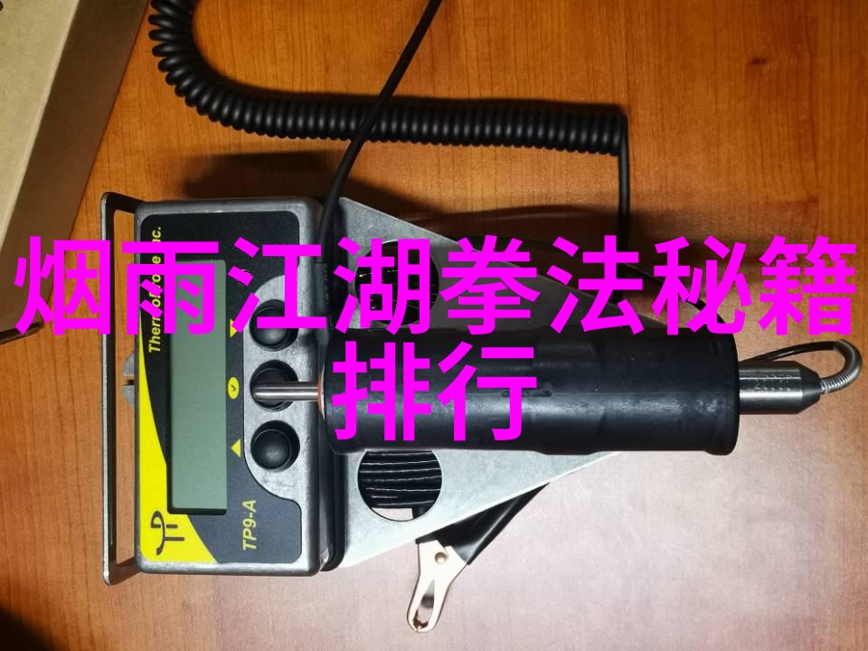 武术与健身武术锻炼对身体和心灵的益处